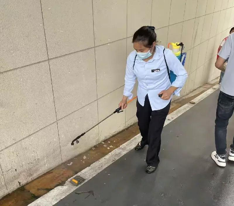 11_看图